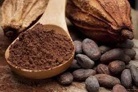Maya Hot Chocolate Na atik Language Culture Institute